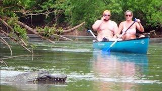 Remote Controlled Alligator Prank 2018 - Boat Cops Called!
