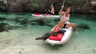 Funny Videos | EP55 | Funny Fails Compilation | Lovely Life Vines