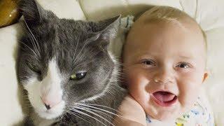 Funny Baby and Cats Fails Moments  - Cute Baby and Pets Video