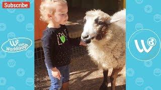 Try Not To Laugh Or Grin While Watching Funny Kids & Animals Video Compilation - Vine Wordlaugh