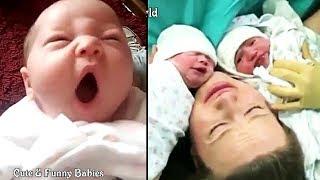 Cutest &Funniest Babies Funny Video || Laughing Babies Video || Baby Playing With Toys & Pet #03