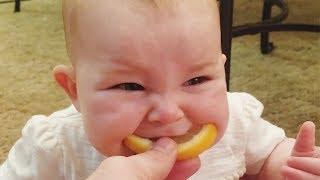 Funny Baby Try Lemon First Time - Babies make Funny Face Video